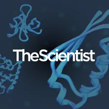 Proteomics: Pushing Towards Single-Cell Resolution